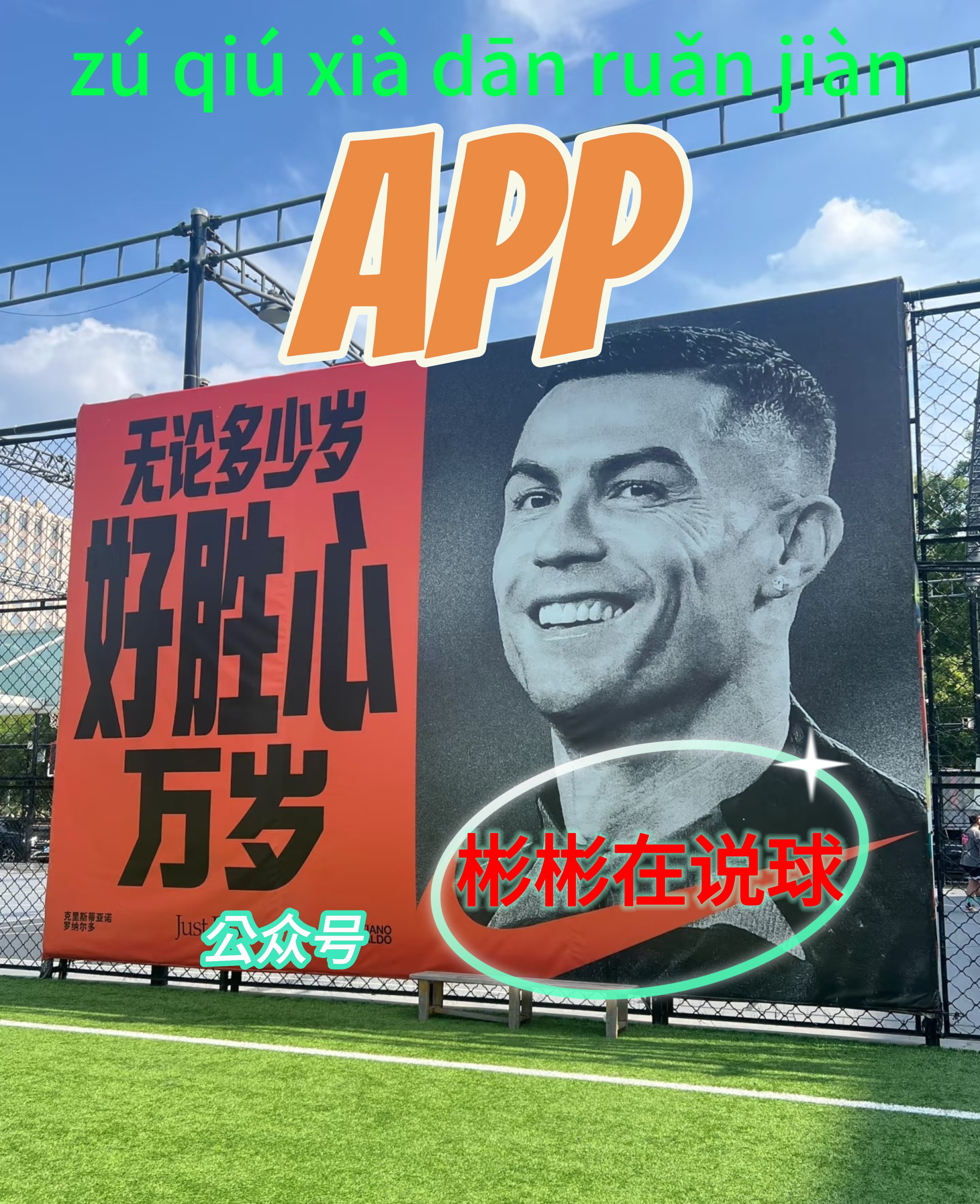 关于足球盛事再续辉煌，球队奋力拼搏争取胜利的信息